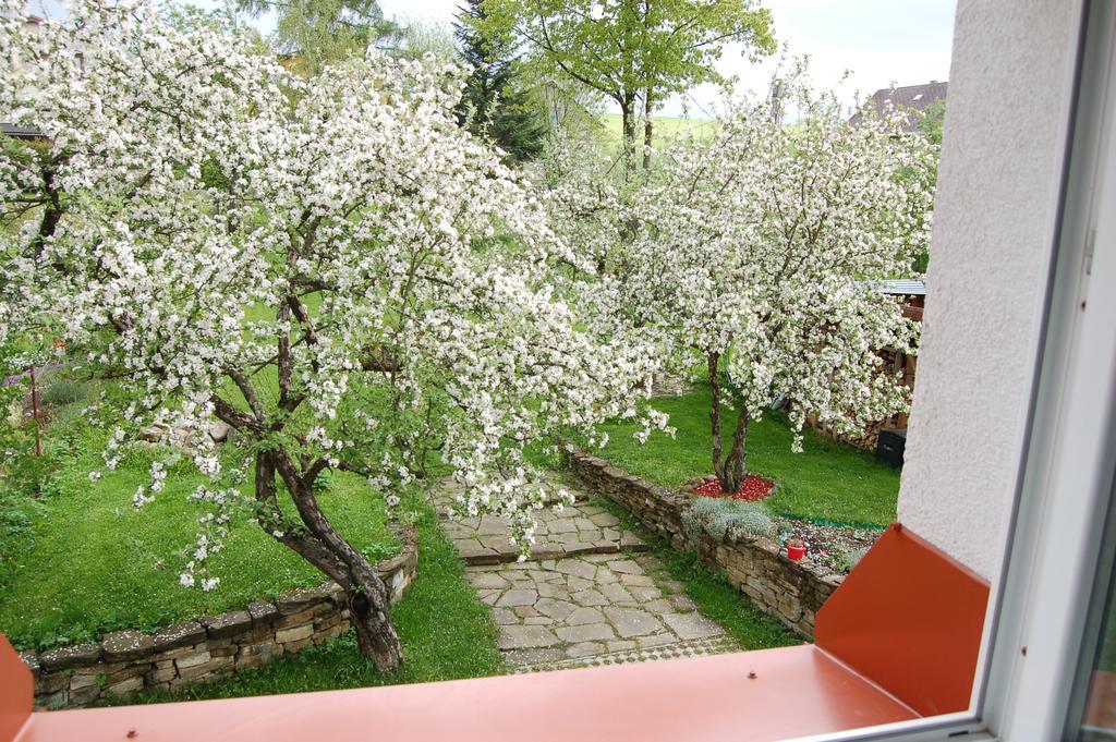 Penzion Belvia Nova Lesna Exterior photo